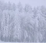 Daisy mit Schnee und Sturm auf Deutschland-Kurs