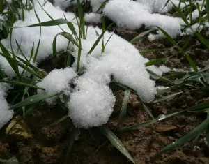 Agrarwetter Winter 2015/16