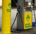 Biokraftstoffe zerstren Golf von Mexiko 