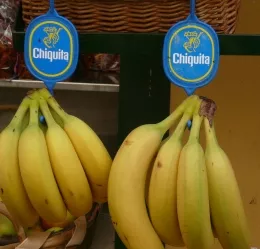 Chiquita-Bananen