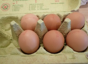 Eierproduktion