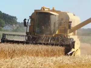 Getreideernte 2020 Mecklenburg-Vorpommern