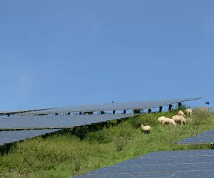 Solarenergie auf Freiflchen