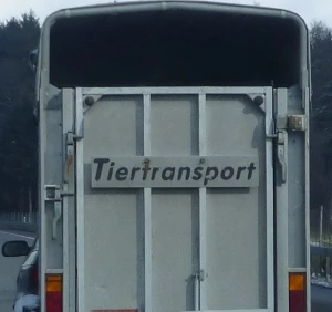 Tiertransporter