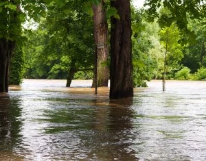 berschwemmungen im Juli 2021