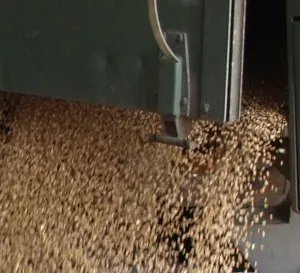Ukraine will Getreide-Exporte zurckfahren 