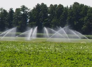 Wasserbedarf der Landwirtschaft