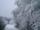 Wetteraussichten: Winter zieht zum x-ten Mal smtliche Register