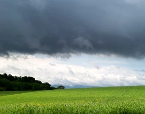 Bauern froh ber Regen im Mai