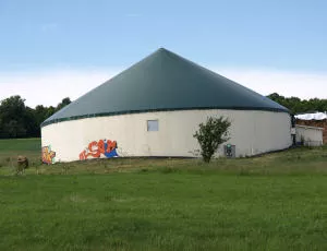 Biogas-Branche in Deutschland