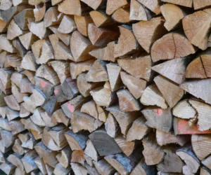 Brennholz aus Brandenburg