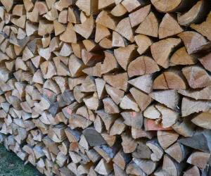 Brennholz in Thringen