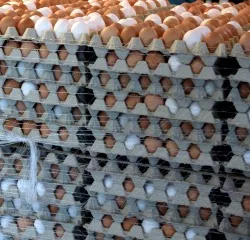 Eierproduktion in Sachsen 2016