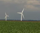 Experten erwarten Boom fr Windkraft