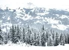 Geschlossene Schneedecke auf den Schwarzwaldbergen