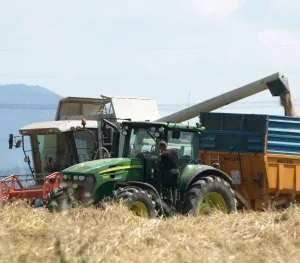 Getreideernte Hessen 2013