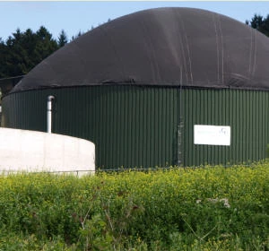Gewsserverunreinigung durch Biogasanlage