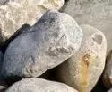 Greenpeace darf vorerst keine Steine mehr vor Sylt versenken