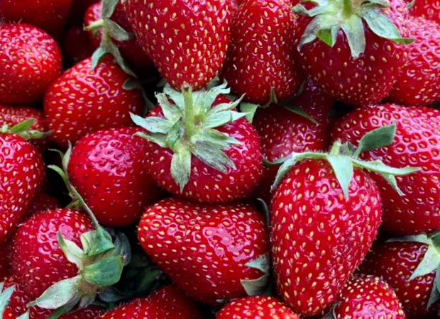Heimische Erdbeeren 2023