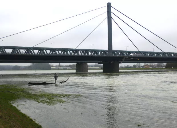 Hochwasser Rhein 2020