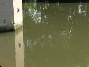 Hochwasserlage Rhein Mosel