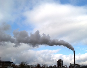 Kohlendioxidproduktion
