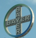 Krise bremst Bayer 2009 etwas strker als erwartet