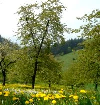 Landschaft in Baden-Wrttemberg