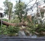 Mindestens 77 Tote bei Sturm in Ostindien