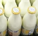 Neuseeland und EU grte Exporteure von Milchprodukten