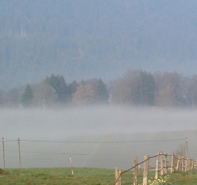 Novemberwetter in Österreich