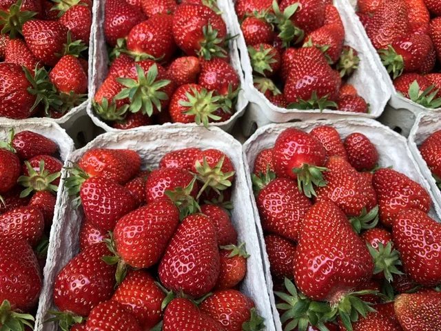 Pflanzenschutzmittelbelastung Erdbeere