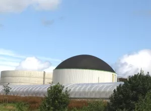 Positionspapier Biogasnutzung