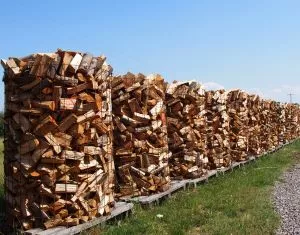 Qualitativ hochwertiges Brennholz