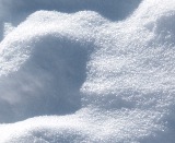 Vogelfutter: berlebenshilfe bei Dauerfrost und Schnee