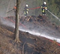 Waldbrand in Sachsen