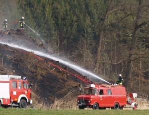 Waldbrandgefahr gesunken