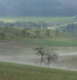 Wetter in Deutschland 14.01.2011