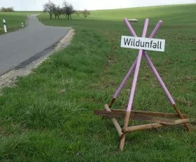 Wildunflle in Sachsen-Anhalt