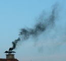 Zum Start der UN-Klimakonferenz: Rostock verpflichtet sich zu CO2-Senkung